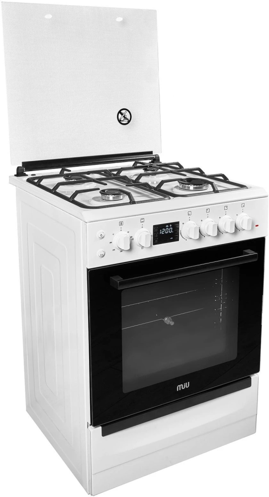 MIU 6030 ERPDCH