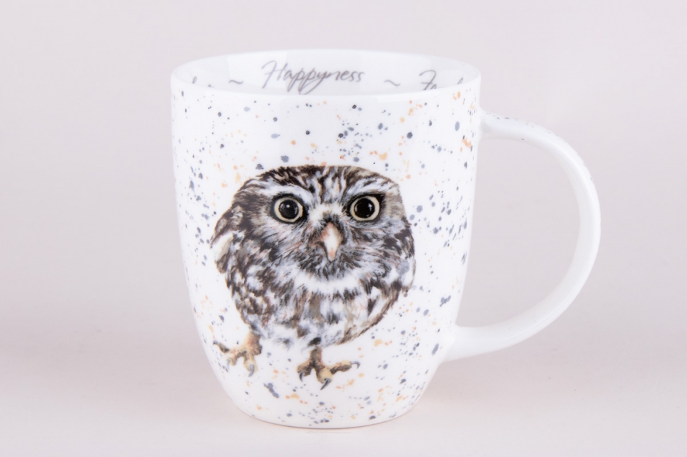  Owlet YQ2035