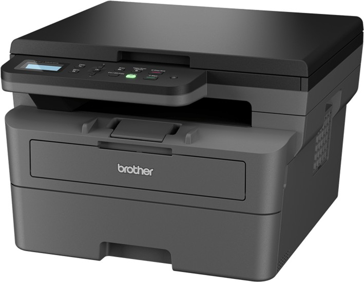 BROTHER DCP-L2620DWR