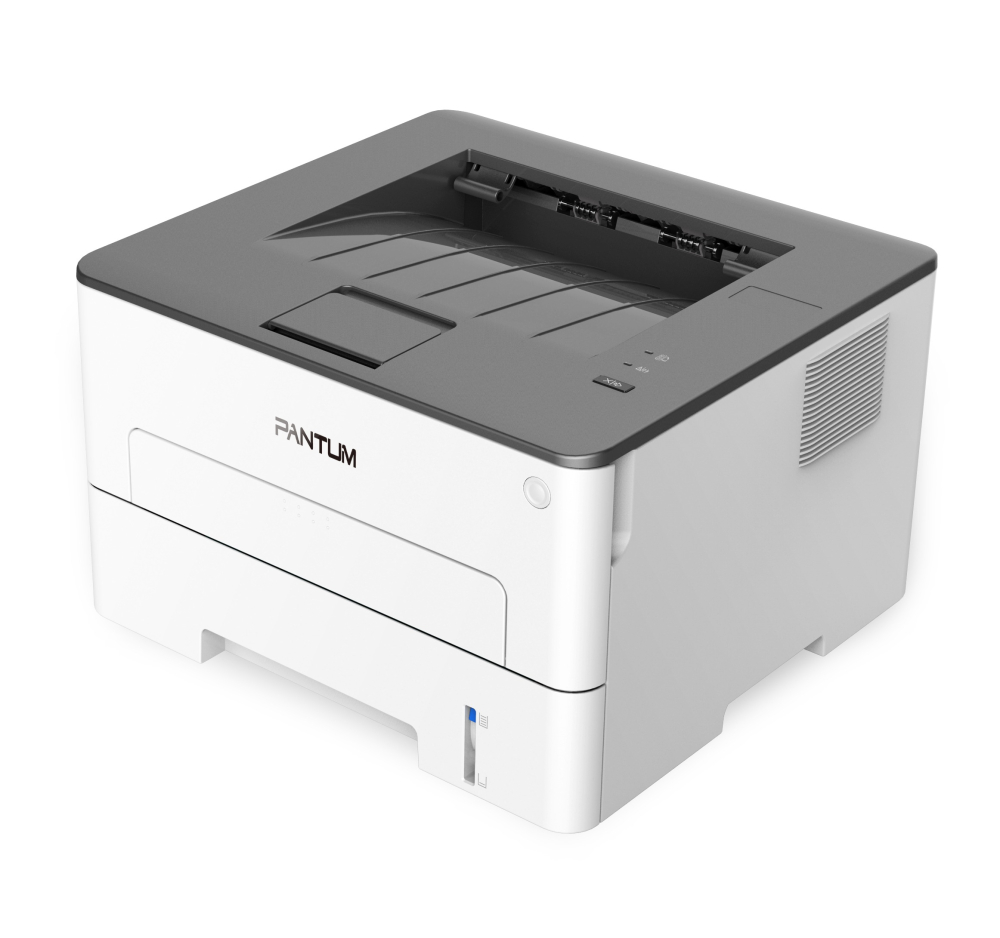 Pantum P3010D