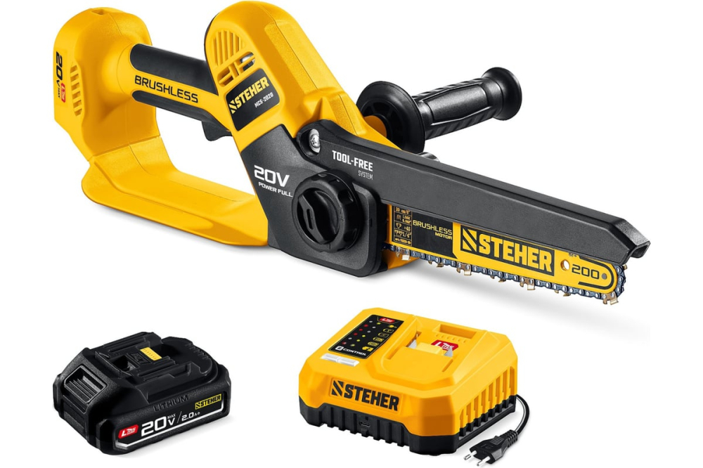 STEHER MCS-2020-21