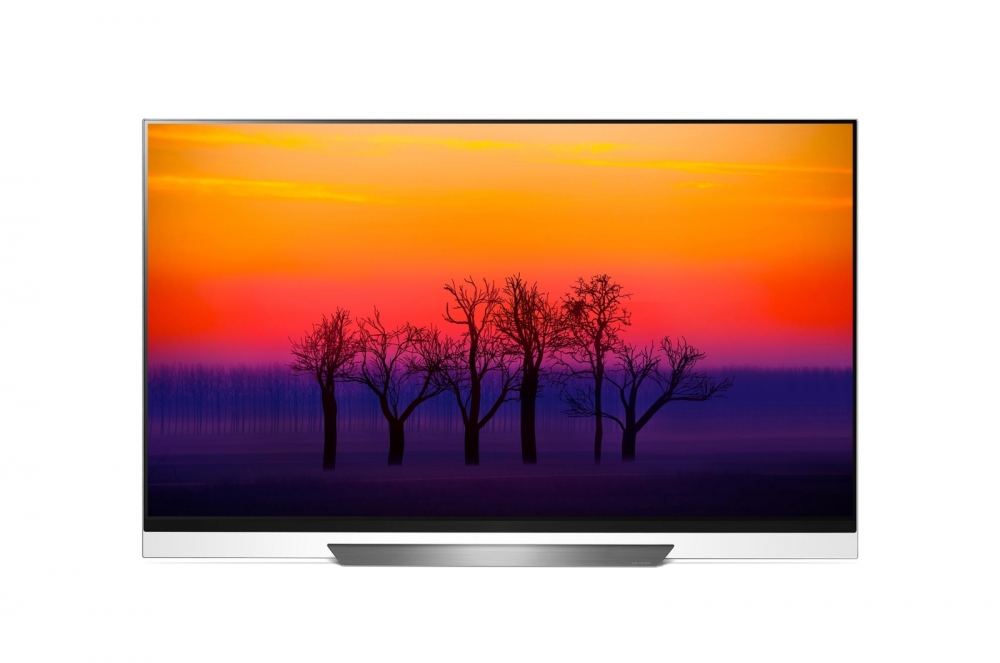 LG OLED65E8